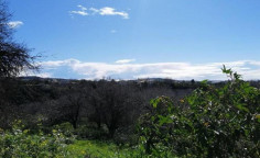 For sale, land, Paphos, Tremithousa, 335m&sup2;, &euro;19,000 , Paphos