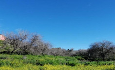 For sale, land, Paphos, Tremithousa, 335m&sup2;, &euro;19,000 , Paphos
