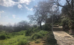 For sale, land, Paphos, Tremithousa, 335m&sup2;, &euro;19,000 , Paphos