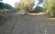 For sale, land, field, Paphos, Armou, 1,840m&sup2;, &euro;86,000 , Paphos