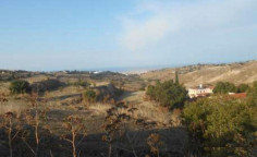 For sale, land, field, Paphos, Armou, 1,840m&sup2;, &euro;86,000 , Paphos