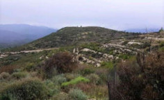 For sale, land, Larnaca, Vavla, 20,068m&sup2;, &euro;59,000 