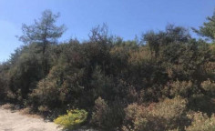 For sale, land, Limassol, lemithou, 5,017m&sup2;, &euro;90,000 , Limassol