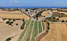 For sale, land, Paphos, Polis Chrysochous, 3,560m&sup2;, &euro;122,000 , Paphos