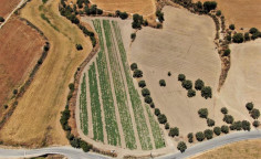 For sale, land, Paphos, Polis Chrysochous, 3,560m&sup2;, &euro;122,000 , Paphos