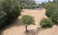 For sale, land, Paphos, Mesogi, 2,260m&sup2;, &euro;150,000 , Paphos