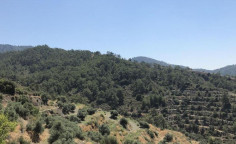 For sale, land, Larnaca, Vavatsinia, 16,054m&sup2;, &euro;31,000 