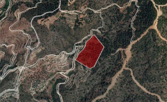 For sale, land, Larnaca, Vavatsinia, 16,054m&sup2;, &euro;31,000 