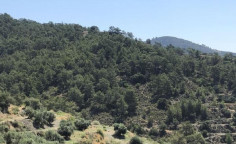 For sale, land, Larnaca, Vavatsinia, 16,054m&sup2;, &euro;31,000 