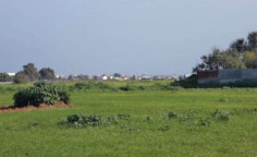 For sale, land, Famagusta, Sotira, 14,577m&sup2;, &euro;46,000 