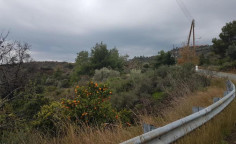 For sale, land, Larnaca, ora, 4,350m&sup2;, &euro;39,000 