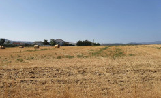 For sale, land, Nicosia, Ergates, 3,577m&sup2;, &euro;160,000 , Nicosia
