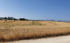 For sale, land, Nicosia, Ergates, 3,577m&sup2;, &euro;160,000 , Nicosia
