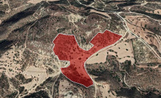 For sale, land, field, Larnaca, Agios Theodoros, 67,894m&sup2;, &euro;135,000 