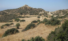 For sale, land, field, Larnaca, Agios Theodoros, 67,894m&sup2;, &euro;135,000 