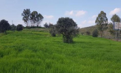 For sale, land, Nicosia, Tseri, 6,120m&sup2;, &euro;305,000 , Nicosia