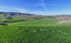 For sale, land, Nicosia, Agios Ioannis, 23,954m&sup2;, &euro;25,000 