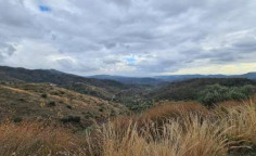 For sale, land, Larnaca, ora, 26,757m&sup2;, &euro;35,000 