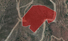 For sale, land, Larnaca, ora, 26,757m&sup2;, &euro;35,000 