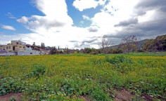 For sale, land, Larnaca, Psevdas, 23,963m², €65,000 , Larnaca For sale, land, Larnaca, Psevdas, 23,963m², €65,000 , Larnaca