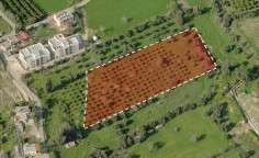 For sale, land, Paphos, Polis Chrysochous, 7,693m&sup2;, &euro;500,000 , Paphos