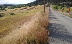 For sale, land, Nicosia, Klirou, 29,044m&sup2;, &euro;800,000 , Nicosia