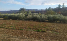 For sale, land, Limassol, Eptagoneia, 1,673m&sup2;, &euro;25,000 , Limassol