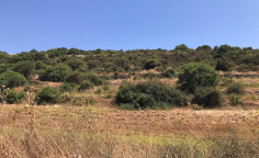 For sale, land, field, Limassol, Pachna, 15,385m&sup2;, &euro;10,000 