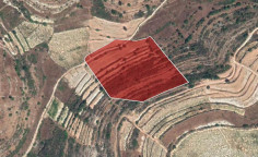 For sale, land, field, Limassol, Pachna, 15,385m&sup2;, &euro;10,000 
