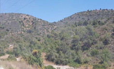 For sale, land, Limassol, Moni, 5,352m², €14,000 For sale, land, Limassol, Moni, 5,352m², €14,000