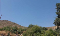 For sale, land, field, Larnaca, Kalavasos, 14,047m&sup2;, &euro;65,000 