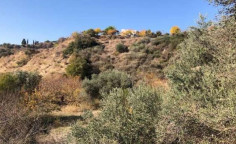For sale, land, Paphos, Psathi, 4,181m², €10,000 For sale, land, Paphos, Psathi, 4,181m², €10,000