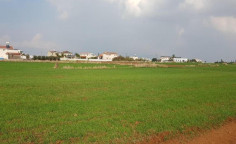 For sale, land, Nicosia, Agioi Trimithias, 2,375m&sup2;, &euro;110,000 , Nicosia