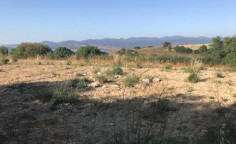 For sale, land, Paphos, Kathikas, 3,345m&sup2;, &euro;25,000 