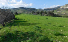 For sale, land, field, Paphos, Episkopi, 12,482m&sup2;, &euro;25,000 