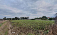 For sale, land, Nicosia, Psimolofou, 5,398m&sup2;, &euro;190,000 , Nicosia
