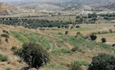 For sale, land, Nicosia, Pera, 4,348m&sup2;, &euro;18,000 