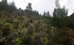 For sale, land, Nicosia, fikardou, 12,041m&sup2;, &euro;30,000 