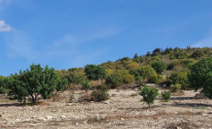 For sale, land, field, Paphos, Koili, 6,689m&sup2;, &euro;295,000 , Paphos