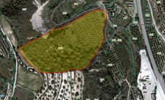 For sale, land, field, Paphos, miliou, 22,074m&sup2;, &euro;44,000 