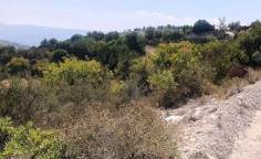 For sale, land, field, Paphos, Peristerona, 21,405m&sup2;, &euro;47,000 