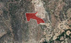 For sale, land, field, Paphos, Peristerona, 21,405m&sup2;, &euro;47,000 