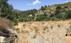 For sale, land, field, Limassol, Louvaras, 3,113m&sup2;, &euro;70,000 , Limassol