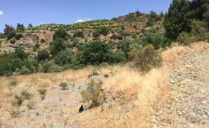 For sale, land, field, Limassol, Louvaras, 3,113m&sup2;, &euro;70,000 , Limassol