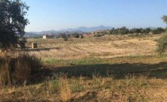 For sale, land, Nicosia, Analiontas, 7,024m&sup2;, &euro;210,000 , Nicosia