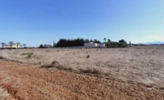 For sale, land, field, Nicosia, Kokkinotrimithia, 3,012m&sup2;, &euro;54,000 , Nicosia