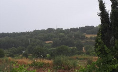 For sale, land, field, Paphos, Polemi, 14,424m², €129,000 For sale, land, field, Paphos, Polemi, 14,424m², €129,000