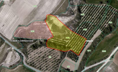 For sale, land, field, Paphos, Polis Chrysochous, 8,696m&sup2;, &euro;74,000 