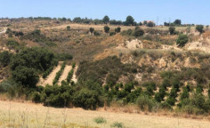 For sale, land, field, Paphos, Polis Chrysochous, 8,696m&sup2;, &euro;74,000 