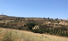 For sale, land, field, Paphos, Polis Chrysochous, 8,696m&sup2;, &euro;74,000 